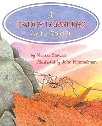 A Daddy Longlegs Isn't a Spider - Melissa Stewart - Książki - Windward Publishing - 9780893170691 - 31 października 2009