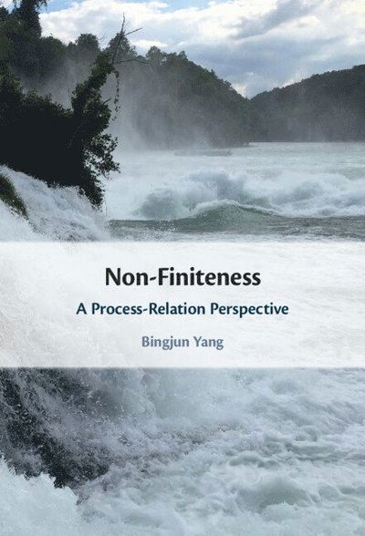 Cover for Yang, Bingjun (Shanghai Jiao Tong University, China) · Non-Finiteness: A Process-Relation Perspective (Paperback Book) (2025)