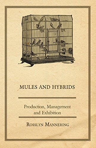 Cover for Rosslyn Mannering · Mules and Hybrids - Production, Management, &amp; Exhibition (Paperback Book) (2006)