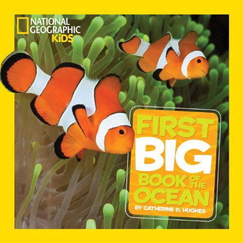 National Geographic Little Kids First Big Book of the Ocean - National Geographic Little Kids First Big Books - Catherine D. Hughes - Książki - National Geographic - 9781426313691 - 8 października 2013