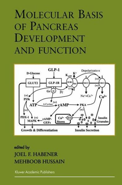 Molecular Basis of Pancreas Development and Function - Endocrine Updates - Joel F Habener - Books - Springer-Verlag New York Inc. - 9781461356691 - October 23, 2012