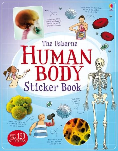 Human Body Sticker Book - Alex Frith - Bøger - Usborne Publishing Ltd - 9781474903691 - 1. august 2015
