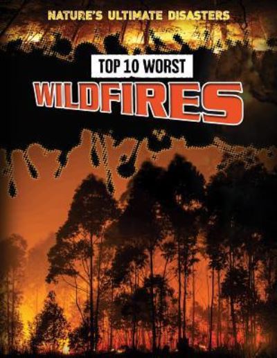 Cover for Louise A Spilsbury · Top 10 Worst Wildfires (Paperback Book) (2016)