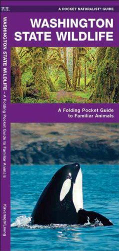 Cover for James Kavanagh · Washington State Wildlife: a Folding Pocket Guide to Familiar Species (Pocket Naturalist Guide Series) (Pamphlet) [1st edition] (2017)