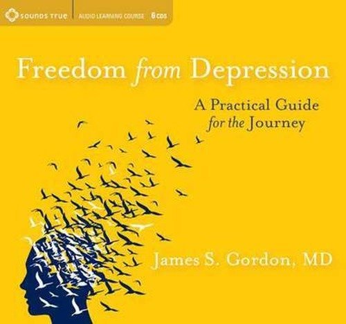 Cover for James S. Gordon · Freedom from Depression: A Practical Guide for the Journey (Audiobook (CD)) [Abridged edition] (2012)