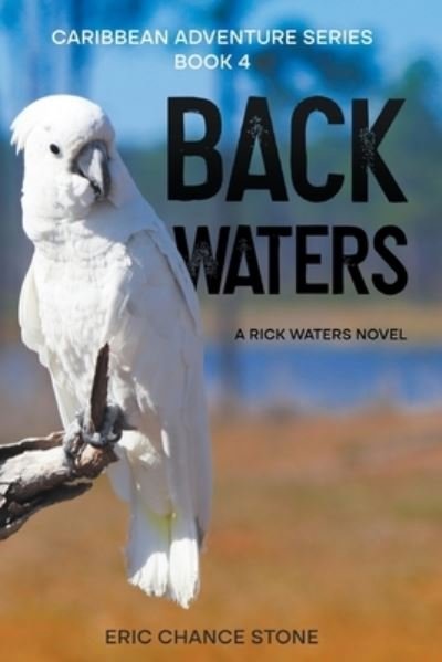 Eric Chance Stone · Back Waters (Bog) (2023)