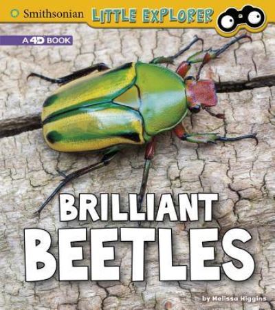 Cover for Melissa Higgins · Brilliant Beetles (Buch) (2019)