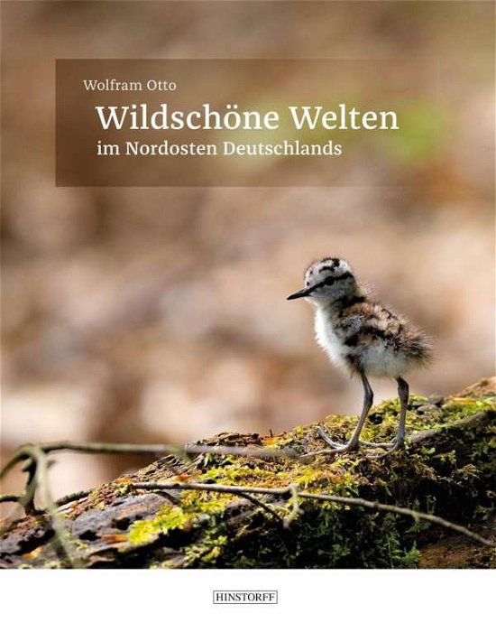 Cover for Otto · Wildschöne Welten (Bok)