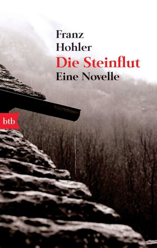 Btb.74269 Hohler.steinflut - Franz Hohler - Livres -  - 9783442742691 - 