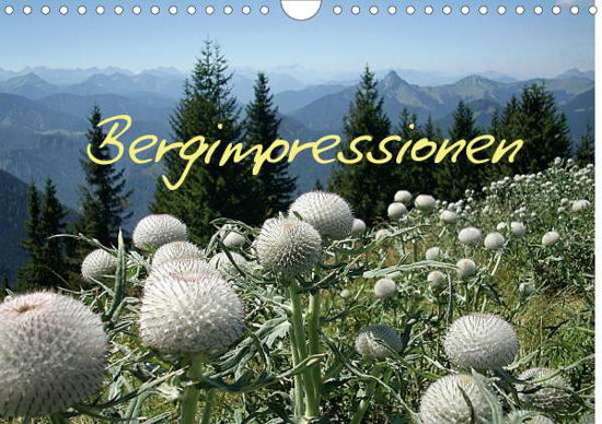 Cover for Kapp · Bergimpressionen (Wandkalender 202 (Book)