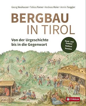 Cover for Georg Neuhauser · Bergbau in Tirol (Book) (2022)