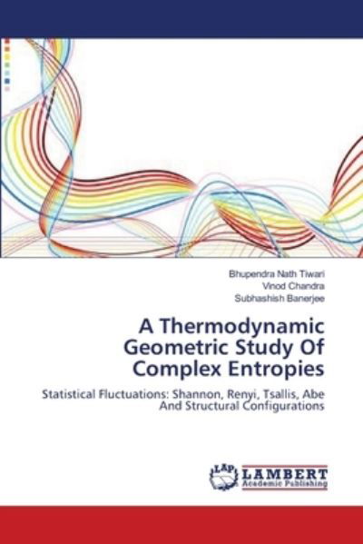 Cover for Tiwari · A Thermodynamic Geometric Study (Buch) (2011)