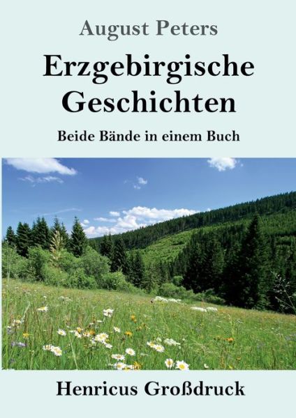 Cover for August Peters · Erzgebirgische Geschichten (Grossdruck) (Paperback Book) (2019)