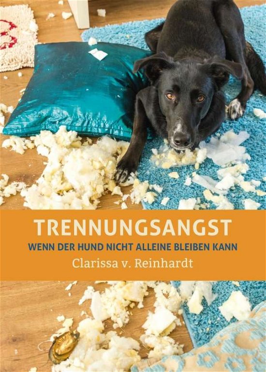 Cover for Reinhardt · Trennungsangst (Bok)