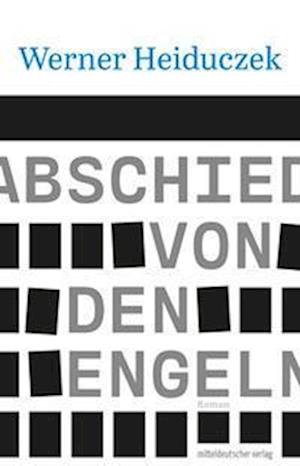 Cover for Werner Heiduczek · Abschied von den Engeln (Book) (2022)