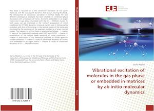 Cover for Abadie · Vibrational excitation of molecu (Book)