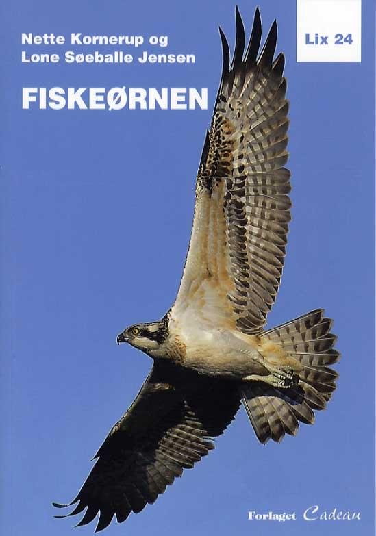 Cover for Nette Kornerup og Lone Søeballe Jensen · Fiskeørnen (Sewn Spine Book) [1er édition] (2014)
