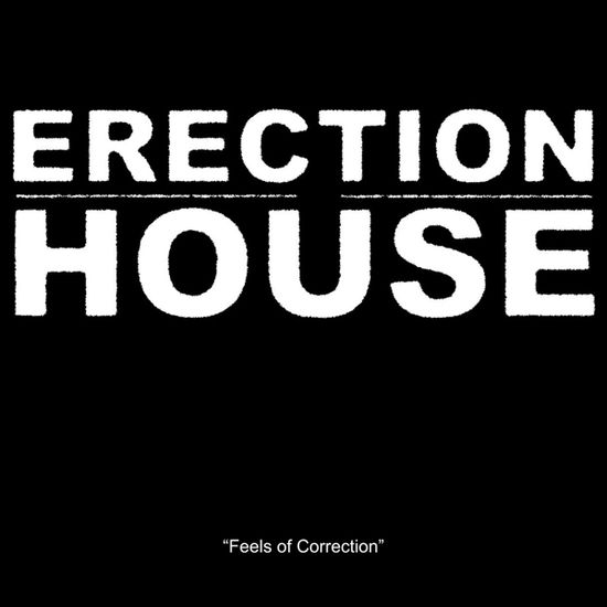 Cover for Erection House · Feels of Correction (LP) (2024)