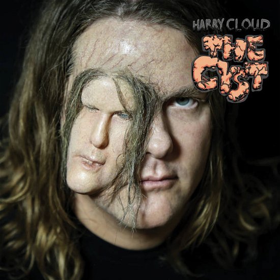 Cover for Harry Cloud · Cyst (LP) (2023)