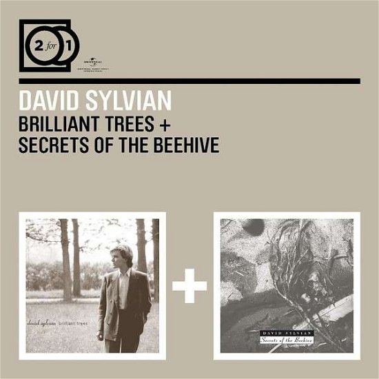 Cover for David Sylvian · 2 for 1: Brilliant Trees/ (CD) (2014)