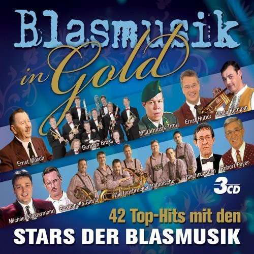 Cover for Various Artists · Blasmusik In Gold (CD) (2008)