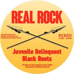 Cover for Black Roots · Juvenile Delinquent (LP) (2024)