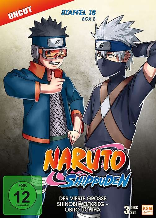 Cover for N/a · Naruto Shippuden - Staffel 18.2 [3 DVDs] (DVD) (2017)