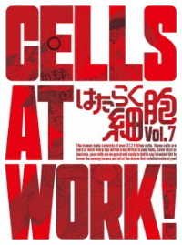 Cover for Shimizu Akane · Cells at Work! 7 &lt;limited&gt; (MBD) [Japan Import edition] (2019)