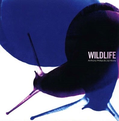 Cover for Phillips,anthony / Hirota,joji · Wildlife (CD) (2023)