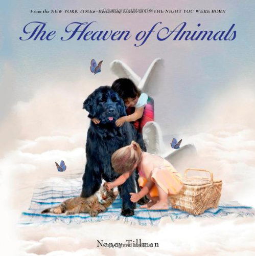 Heaven of Animals - Nancy Tillman - Książki - Feiwel and Friends - 9780312553692 - 2 września 2014