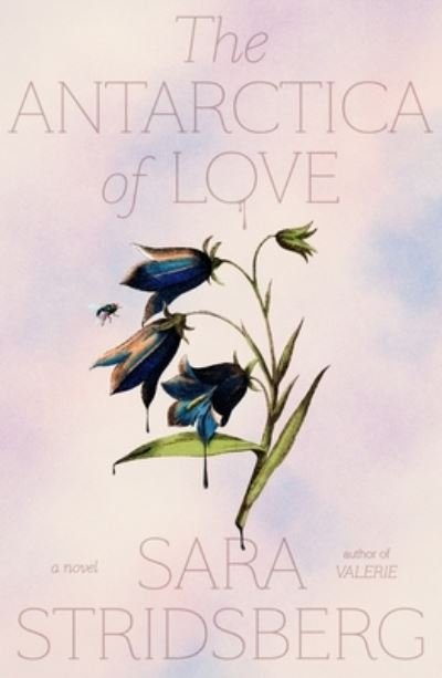 Cover for Sara Stridsberg · The Antarctica of Love: A Novel (Innbunden bok) (2022)