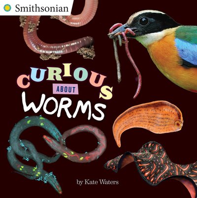 Cover for Kate Waters · Curious About Worms - Smithsonian (Paperback Book) (2017)