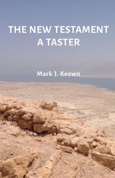 Cover for Mark J Keown · The New Testament A Taster (Paperback Book) (2020)
