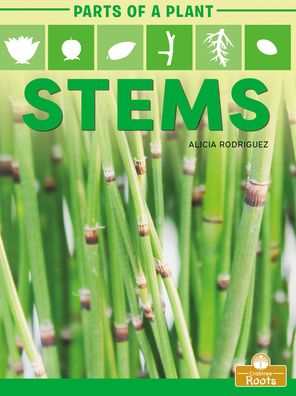 Cover for Alicia Rodriguez · Stems (Hardcover Book) (2021)