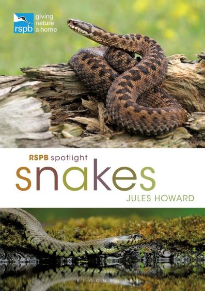 Cover for Jules Howard · RSPB Spotlight Snakes - RSPB (Pocketbok) (2020)