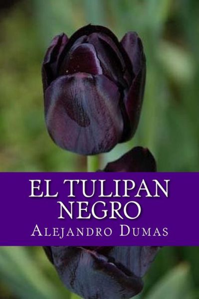 Cover for Alejandro Dumas · El Tulipan Negro (Paperback Book) [Spanish edition] (2016)