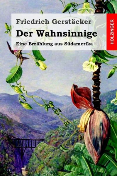 Cover for Friedrich Gerstacker · Der Wahnsinnige (Taschenbuch) (2016)