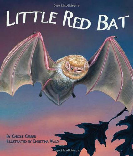 Cover for Carole Gerber · Little Red Bat (Hardcover Book) (2010)