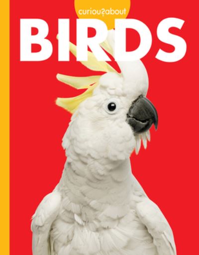 Cover for Jill Sherman · Curious about Birds (Buch) (2022)