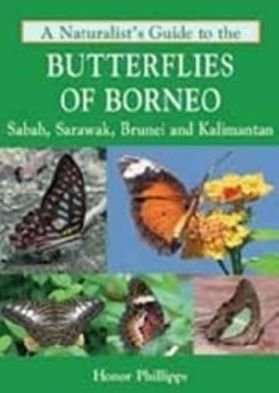 Cover for Honor Phillipps · A Naturalist's Guide to the Butterflies of Borneo - Naturalists' Guides (Paperback Bog) (2024)