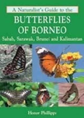 Cover for Honor Phillipps · A Naturalist's Guide to the Butterflies of Borneo - Naturalists' Guides (Paperback Book) (2024)