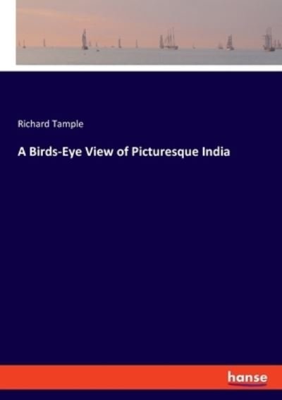 Cover for Tample · A Birds-Eye View of Picturesque (Buch) (2020)