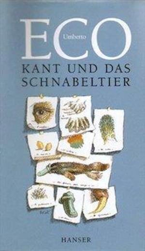 Cover for Umberto Eco · Kant Und Das Schnabeltier (Book)
