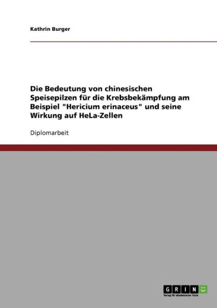 Cover for Burger · Die Bedeutung von chinesischen S (Book) [German edition] (2013)