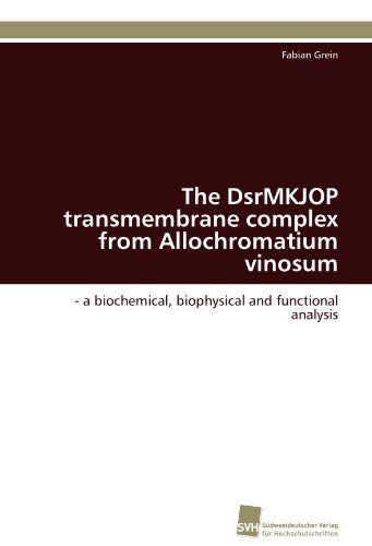 Cover for Fabian Grein · The Dsrmkjop Transmembrane Complex from Allochromatium Vinosum: - a Biochemical, Biophysical and Functional Analysis (Paperback Book) [German edition] (2011)