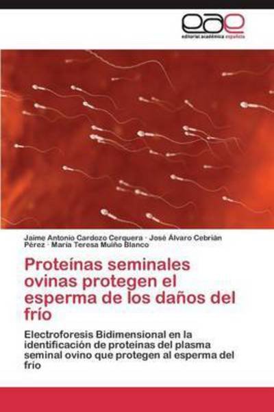 Cover for Muino Blanco Maria Teresa · Proteinas Seminales Ovinas Protegen El Esperma De Los Danos Del Frio (Pocketbok) (2011)
