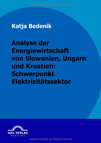 Cover for Katja Bedenik · Analyse Der Energiewirtschaft Von Slowenien, Ungarn Und Kroatien: Schwerpunkt Elektrizitätssektor (Taschenbuch) [German edition] (2009)