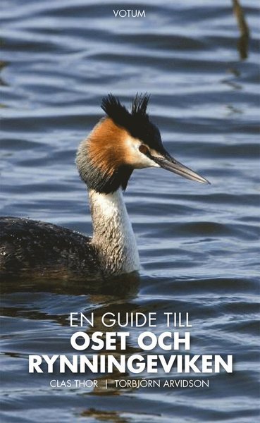 Cover for Clas Thor · En guide till Oset och Rynningeviken (Buch) (2012)