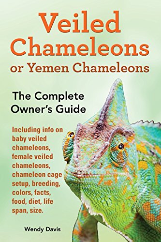 Cover for Wendy Davis · Veiled Chameleons or Yemen Chameleons As Pets. Info on Baby Veiled Chameleons, Female Veiled Chameleons, Chameleon Cage Setup, Breeding, Colors, Facts, Food, Diet, Life Span, Size. (Pocketbok) (2014)