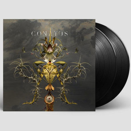 Conatus - Joep Beving - Muziek - DEUTSCHE GRAMMOPHON - 0028947998693 - 26 oktober 2018